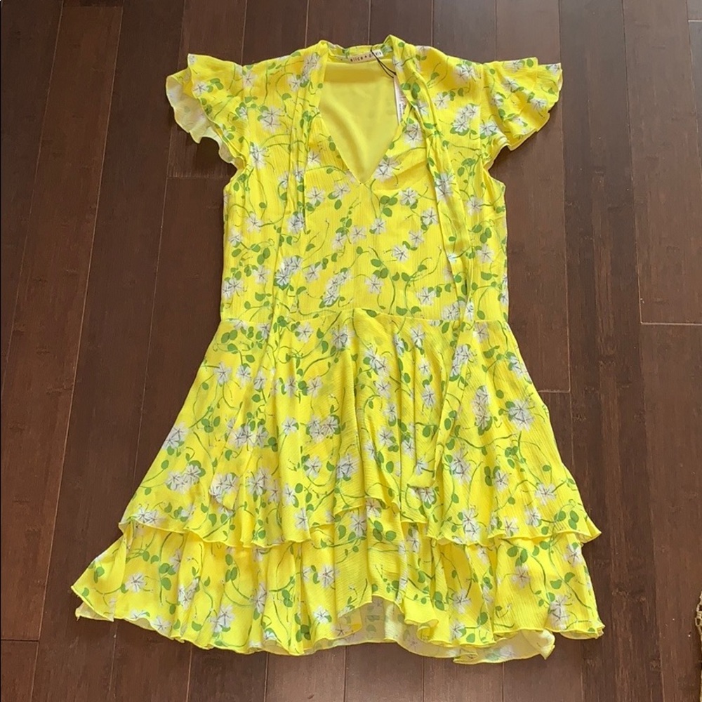 Alice + Olivia dress